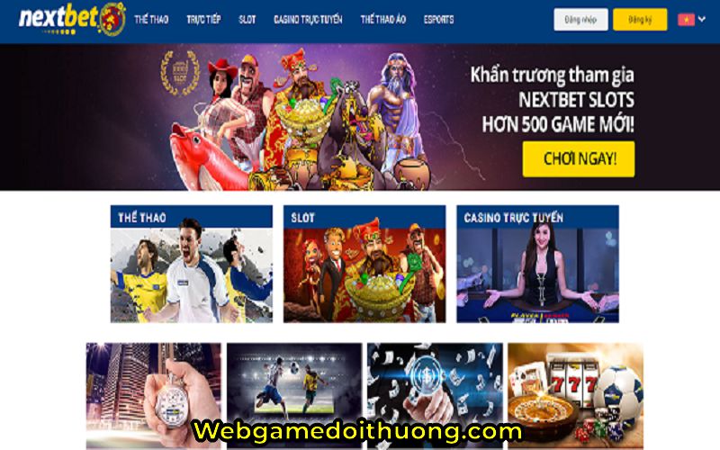 cá cược nextbet