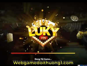 Luky Vin