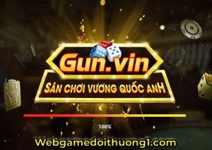 gun vin