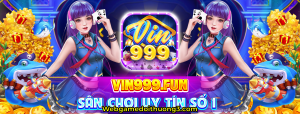 vin999 fun